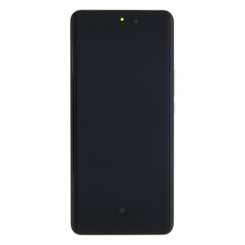 Huawei Honor Magic 6 Lite (ALI-NX3) Display And Digitizer With Frame And Battery Sunrise Orange Service Pack